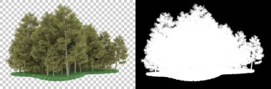 Orman arka planda maskeyle izole edilmiş. 3d görüntüleme - illüstrasyon