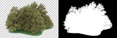 Orman arka planda maskeyle izole edilmiş. 3d görüntüleme - illüstrasyon
