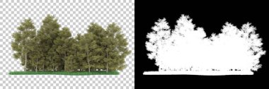 Orman arka planda maskeyle izole edilmiş. 3d görüntüleme - illüstrasyon