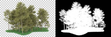 Orman arka planda maskeyle izole edilmiş. 3d görüntüleme - illüstrasyon