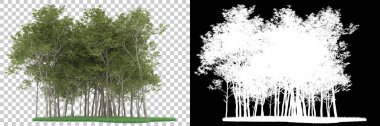 Orman arka planda maskeyle izole edilmiş. 3d görüntüleme - illüstrasyon