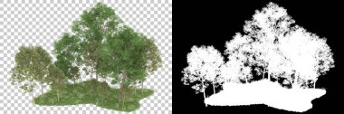 Orman arka planda maskeyle izole edilmiş. 3d görüntüleme - illüstrasyon