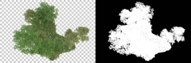Orman arka planda maskeyle izole edilmiş. 3d görüntüleme - illüstrasyon