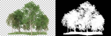 Orman arka planda maskeyle izole edilmiş. 3d görüntüleme - illüstrasyon