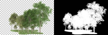 Orman arka planda maskeyle izole edilmiş. 3d görüntüleme - illüstrasyon