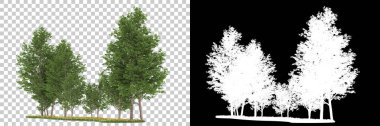 Orman arka planda maskeyle izole edilmiş. 3d görüntüleme - illüstrasyon