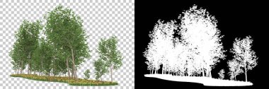 Orman arka planda maskeyle izole edilmiş. 3d görüntüleme - illüstrasyon