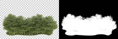 Orman arka planda maskeyle izole edilmiş. 3d görüntüleme - illüstrasyon