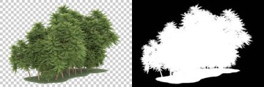 Arka planda maskeli tropikal orman. 3d görüntüleme - illüstrasyon