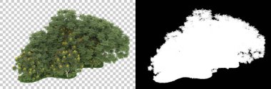 Orman arka planda maskeyle izole edilmiş. 3d görüntüleme - illüstrasyon