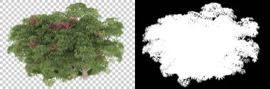 Orman arka planda maskeyle izole edilmiş. 3d görüntüleme - illüstrasyon