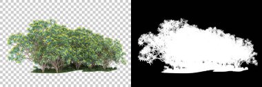 Orman arka planda maskeyle izole edilmiş. 3d görüntüleme - illüstrasyon