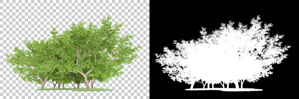 Orman arka planda maskeyle izole edilmiş. 3d görüntüleme - illüstrasyon