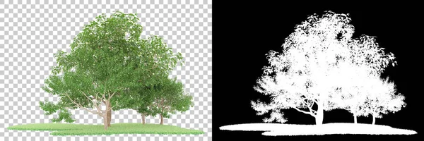 Orman arka planda maskeyle izole edilmiş. 3d görüntüleme - illüstrasyon