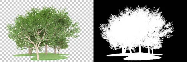 Orman arka planda maskeyle izole edilmiş. 3d görüntüleme - illüstrasyon