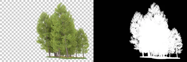 Forest isolated on background with mask. 3d rendering - illustration