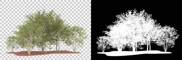 Orman arka planda maskeyle izole edilmiş. 3d görüntüleme - illüstrasyon
