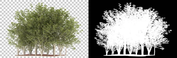 Orman arka planda maskeyle izole edilmiş. 3d görüntüleme - illüstrasyon