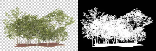 Orman arka planda maskeyle izole edilmiş. 3d görüntüleme - illüstrasyon