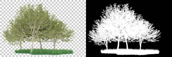Orman arka planda maskeyle izole edilmiş. 3d görüntüleme - illüstrasyon