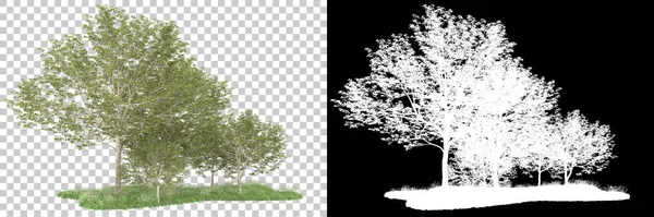 Orman arka planda maskeyle izole edilmiş. 3d görüntüleme - illüstrasyon