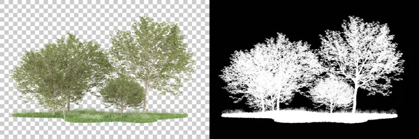 Orman arka planda maskeyle izole edilmiş. 3d görüntüleme - illüstrasyon