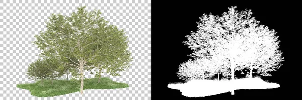 Orman arka planda maskeyle izole edilmiş. 3d görüntüleme - illüstrasyon