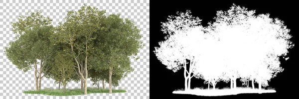 Orman arka planda maskeyle izole edilmiş. 3d görüntüleme - illüstrasyon