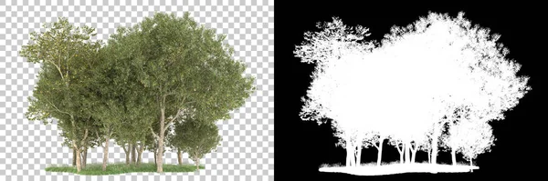 Orman arka planda maskeyle izole edilmiş. 3d görüntüleme - illüstrasyon