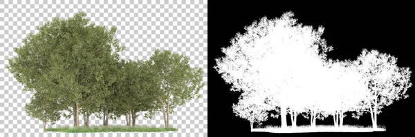 Orman arka planda maskeyle izole edilmiş. 3d görüntüleme - illüstrasyon