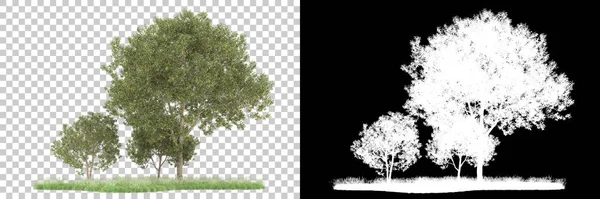 Orman arka planda maskeyle izole edilmiş. 3d görüntüleme - illüstrasyon