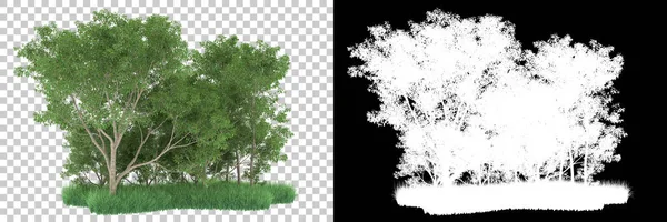 Orman arka planda maskeyle izole edilmiş. 3d görüntüleme - illüstrasyon