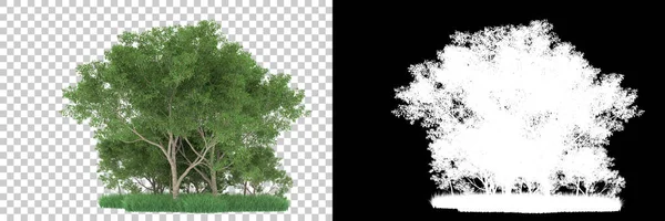 Orman arka planda maskeyle izole edilmiş. 3d görüntüleme - illüstrasyon