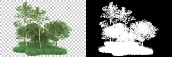Orman arka planda maskeyle izole edilmiş. 3d görüntüleme - illüstrasyon