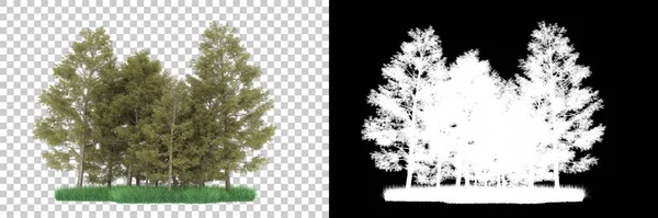 Orman arka planda maskeyle izole edilmiş. 3d görüntüleme - illüstrasyon