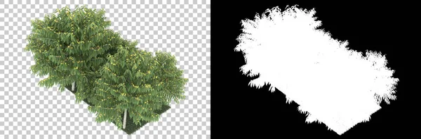 Palm Trees Isolated Background Mask Rendering Illustration — Stock Photo, Image
