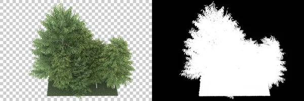 Palmbomen Geïsoleerd Achtergrond Met Masker Weergave Illustratie — Stockfoto