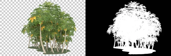 Пальмы Изолированы Заднем Плане Маской Рендеринг Иллюстрация — стоковое фото