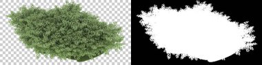 Orman arka planda maskeyle izole edilmiş. 3d görüntüleme - illüstrasyon