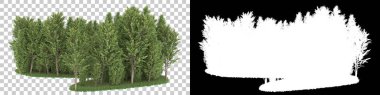 Orman arka planda maskeyle izole edilmiş. 3d görüntüleme - illüstrasyon
