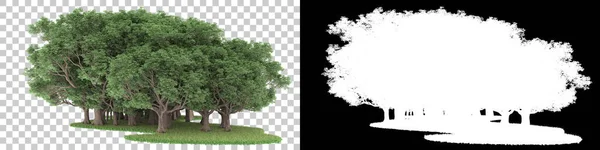 Çimenler Arka Planda Maskeyle Izole Edilmiş Görüntüleme Illüstrasyon — Stok fotoğraf