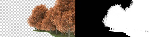 Çimenler Arka Planda Maskeyle Izole Edilmiş Görüntüleme Illüstrasyon — Stok fotoğraf