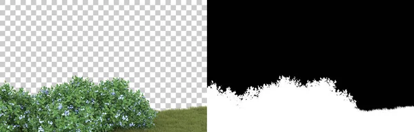 Gras Isoliert Auf Hintergrund Mit Maske Darstellung Illustration — Stockfoto