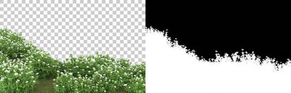 Gras Isoliert Auf Hintergrund Mit Maske Darstellung Illustration — Stockfoto