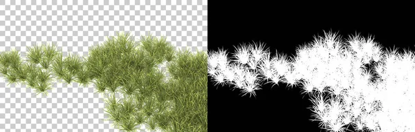 Grass Isolated Background Mask Rendering Illustration — Stock Photo, Image