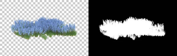 Трава Изолирована Заднем Плане Маской Рендеринг Иллюстрация — стоковое фото