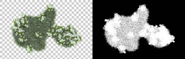 Çimenler arka planda maskeyle izole edilmiş. 3d görüntüleme - illüstrasyon