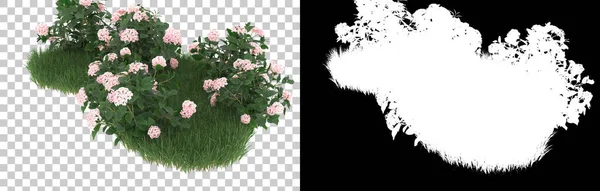 背景上有面具的草丛 3D渲染 — 图库照片