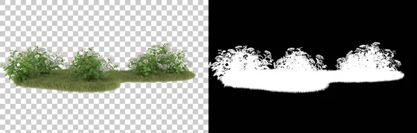 Græs Isoleret Baggrund Med Maske Rendering Illustration - Stock-foto