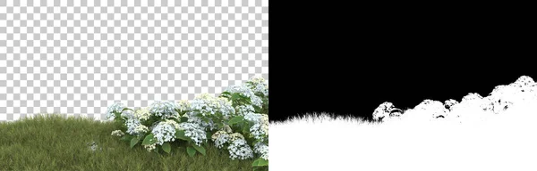 Grass Isolated Background Mask Rendering Illustration — Stock Photo, Image